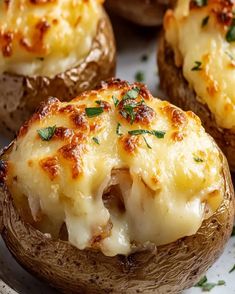 baked potatoes topped with cheese and parsley on a white plate, ready to be eaten