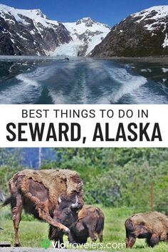 the best things to do in sewardd, alaska with pictures of mountains and water