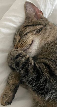 a cat sleeping on top of a white pillow