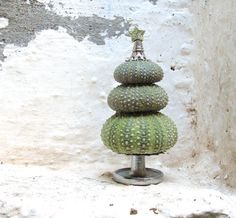 three green cactuses stacked on top of each other in front of a white wall