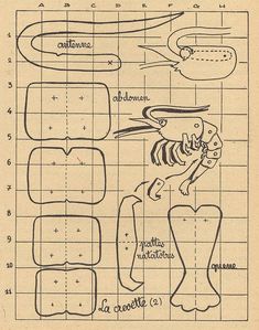 the diagram shows how to make an origami fish with different shapes and sizes