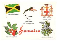 an old postcard shows the symbols of jamaica