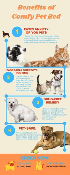 the benefits of comfy pet bed for dogs and cats info graphic by all about pets