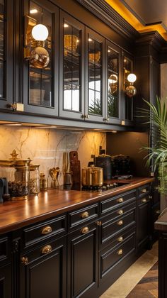 a kitchen with black cabinets and gold trimmings on the counter tops, along with a potted plant