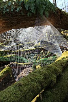 an artistic sculpture made out of wire and moss in a forest with ferns growing on the ground