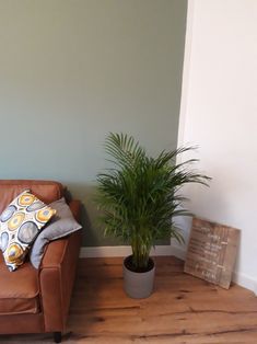 a brown couch sitting next to a potted plant on top of a wooden floor