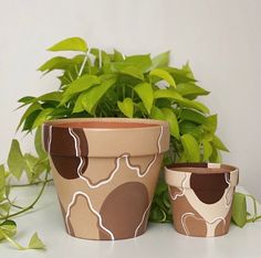 two potted plants sitting next to each other on a table