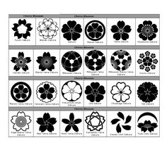 the different types of flowers are shown in black and white, as well as an image of