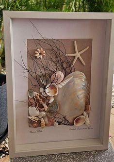 seashells and starfish are displayed in a shadow box