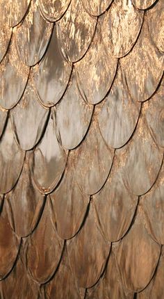 a close up view of the scales of a fish's tail pattern on a wall