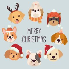 merry christmas card with dogs and hats