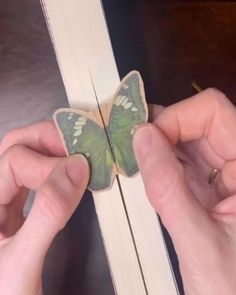 a person holding a green butterfly on top of a book