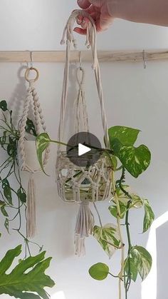 a plant hanging from a wall next to a person's hand holding a potted plant