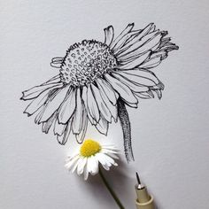 a drawing of a white flower with yellow center