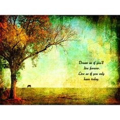 a tree with a horse in the background and a quote on it that says dream if you'll live forever