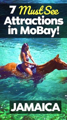 a woman riding on the back of a brown horse in clear blue water with text that reads, 7 must see attractions in mob bay jamaica