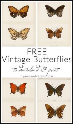 butterflies with the words free vintage butterflies on them