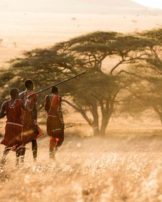 three men in traditional african clothing walking through tall grass with their backs turned towards the camera