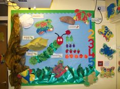 the very hungry caterpillar bulletin board is ready for students to learn numbers and counting