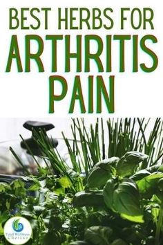 Pain Relief Remedies, Natural Sleep Remedies, Home Health Remedies, Herbs For Health, Joints Pain Relief, Natural Pain Relief, Natural Health Remedies, Healing Herbs