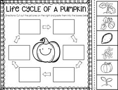 the life cycle of a pumpkin worksheet with pictures and words to help students learn how