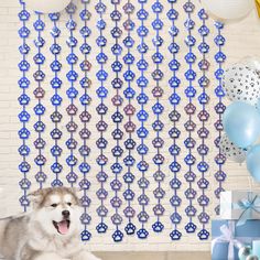 a dog laying on the floor in front of a wall decorated with blue and white decorations