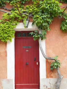 a red door with vines growing over it