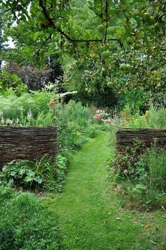 a garden with lots of green grass and plants on the side of it, surrounded by trees