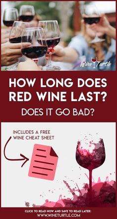 Wine Cheat Sheet, Wine Aerators, Best Red Wine, Wine Drinkers, Wine Bottle Opener, Wine Bottle Stoppers