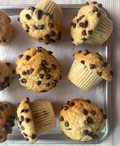 twelve muffins with chocolate chips on top