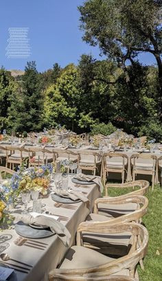 tables and chairs are set up for an outdoor dinner in the grass with trees behind them