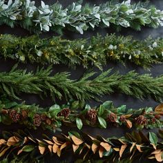 christmas garlands and pine cones are arranged on a black background with evergreen leaves, gold berries and other greenery