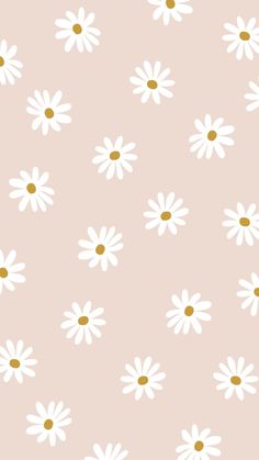 a pink background with white daisies and green leaves