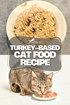 Turkey-Based Cat Food Recipe