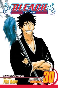 the cover to bleach, volume 30