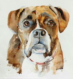 a watercolor painting of a boxer dog