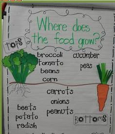 a bulletin board with carrots, broccoli and celery on it