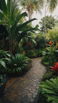 a pathway is surrounded by tropical plants and trees