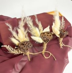 three dried feathers on top of a red cloth