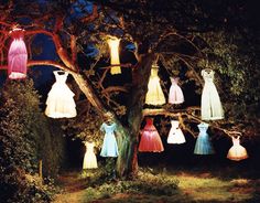 there are many lights hanging from the trees in the park at night, as well as dresses on display