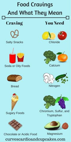 Stop Food Cravings, Resep Smoothie, Healthy Food Guide, Think Food, Satisfying Food