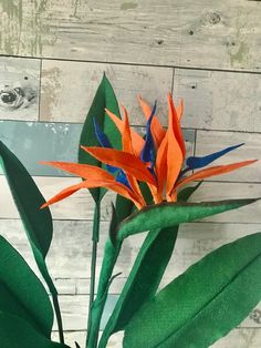 an orange and blue flower sitting on top of a green leafy plant next to a wooden wall