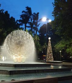 a water fountain with a christmas tree in the background