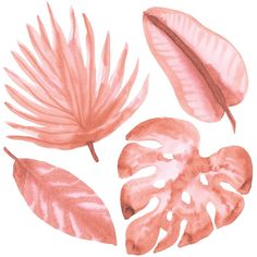 an illustration of pink leaves and palm fronds on a white background, in shades of peach