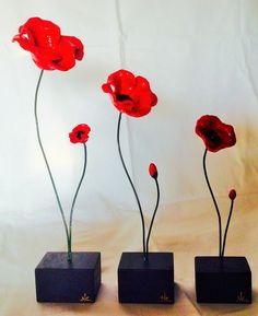 three vases with red flowers in them on a table