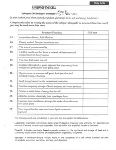 a table that shows the number and types of cells in an animal's cell