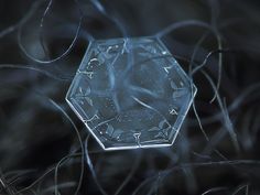 a close up view of an ice cube in the middle of some branches with water droplets on it