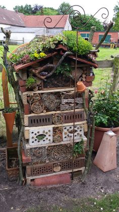 an old garden shed with plants growing out of the roof and on top of it