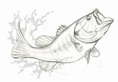 a drawing of a fish on a white background