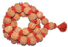 Rare 8 Mukhi Rudraksha Kantha - Collector Size - Java Beads Traditional Red Mala For Diwali, Festive Rituals Mala With Pallu, Traditional Beads For Rituals And Festivals, Diwali Rituals Mala With Pallu, Festive Red Mala For Puja, Traditional Festive Mala, Traditional Beads For Puja And Festivals, Multicolor Mala For Puja And Festive Occasions, Red Beads For Puja And Festivals